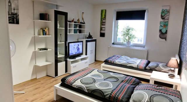 Четырёхместный люкс Superior Suite-Apartment-Essen