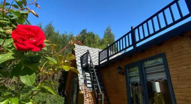 Коттедж c 1 комнатой Burnaz bungalov hotel