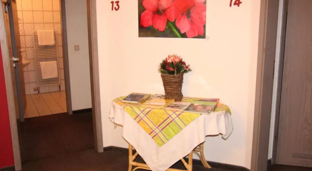 Одноместный номер Standard Hotel am Schloss Neuenstein