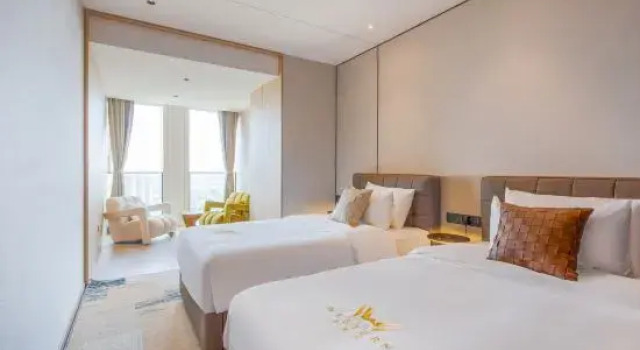 Luksusowy suite Western apartments