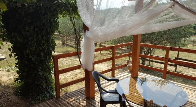 Люкс Chambre d'hotes Le Petit Ranch