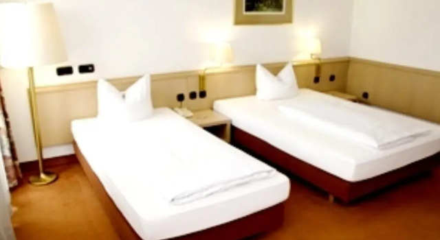 Номер Standard Adler Hotel Frankfurt