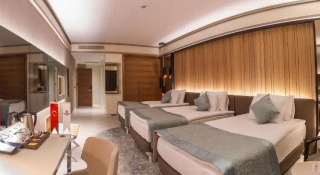Трёхместный номер Bayır Diamond Hotel & Convention Center Konya