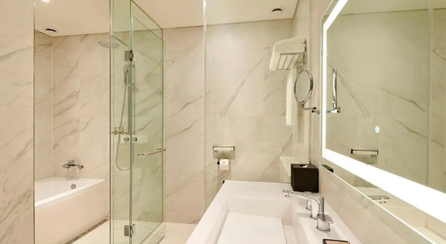 Двухместный люкс Deluxe Hilton Garden Inn Seoul Gangnam