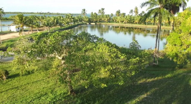 Апартаменты Standard Hotel Fazenda Recanto