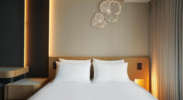 Двухместный номер Superior Hotel JAL City Tokyo Toyosu