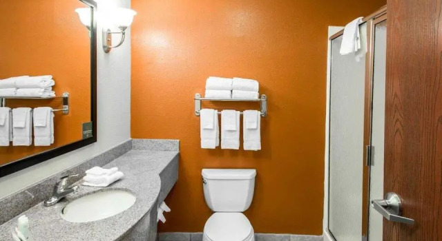 Номер Standard Sleep Inn & Suites Palatka North