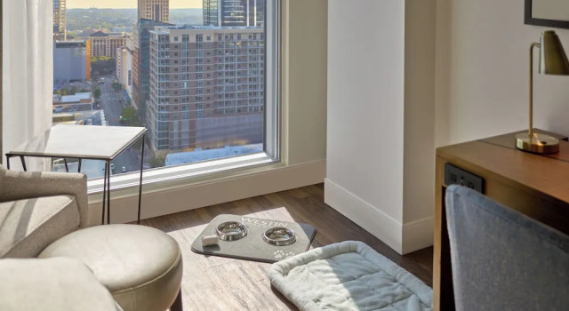 Четырёхместный номер Deluxe The Westin Austin Downtown