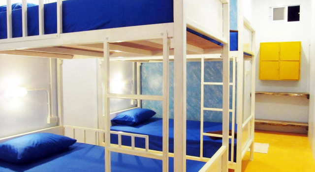 Treechart Hostel