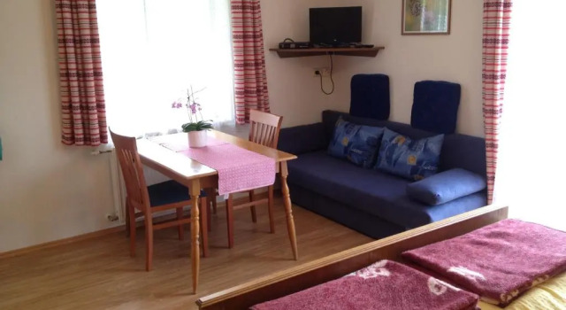 Студия Tischnerhof Appartements