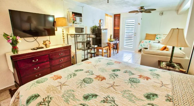 Двухместная студия Coconut Palms Rincon
