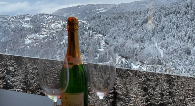 Апартаменты Luxury Sunny Hill
