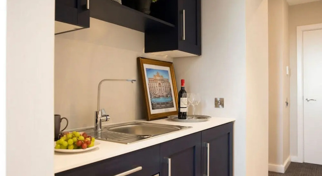 Люкс c 1 комнатой Metro Hotel Dublin Airport