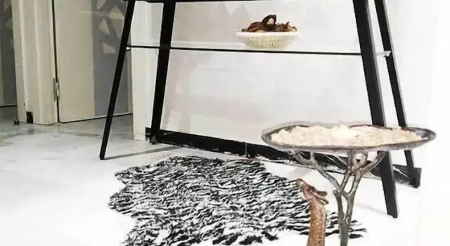 Appartamento 1 camera da letto con balcone appartement Harmony