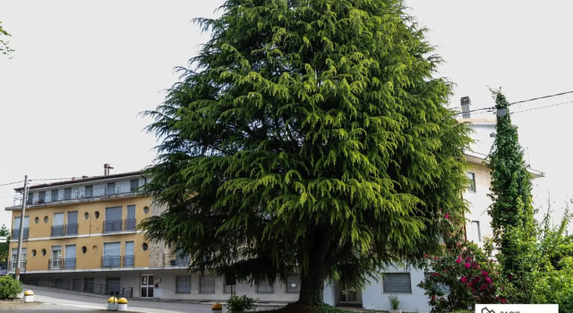 Casa Liviya