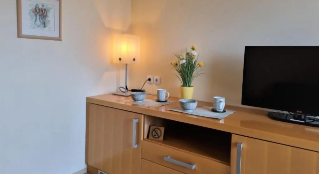 Полулюкс Apartments AD Radenci