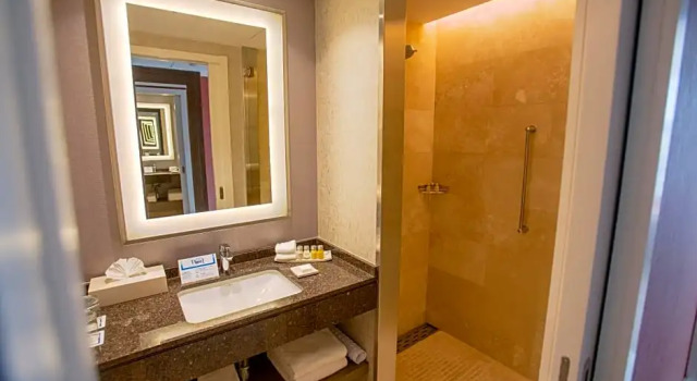 Номер Premium с балконом Hilton Pilar