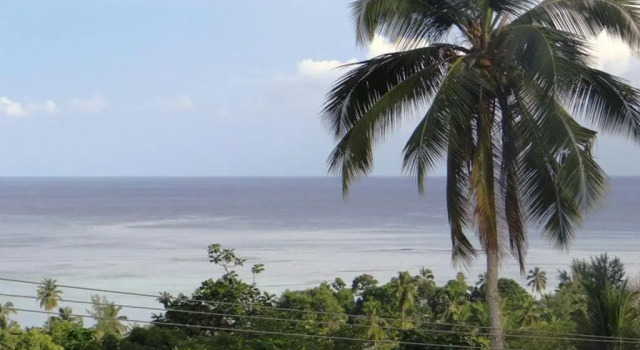 The Reef Palm, Boek Appartement Anse aux Pins Mahe-eiland