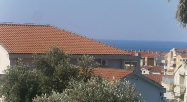 Апартаменты c 1 комнатой Mijovic Apartments