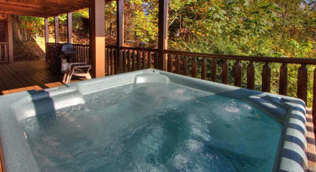 Rustic 4/2 Log Cabin with Lovely Views! Sleeps 8!
