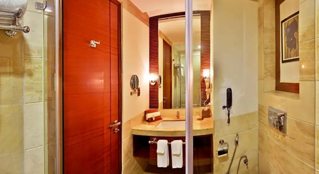 Люкс The Nikunj Hotels