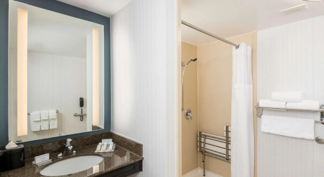 Двухместный номер Standard Hilton Garden Inn Silver Spring White Oak