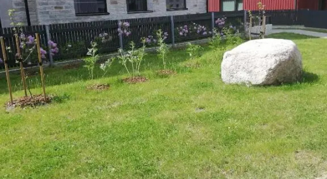 Kalamaja Garden, Rezervovat Hotel Hotely v Harjumaa s parkováním, Parkování