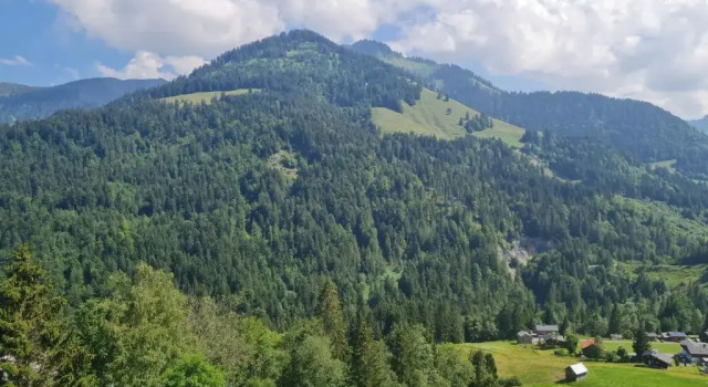 Appartement Melinda Ebnit, Book Apartment Hotels in Vorarlberg with Parking, Parking