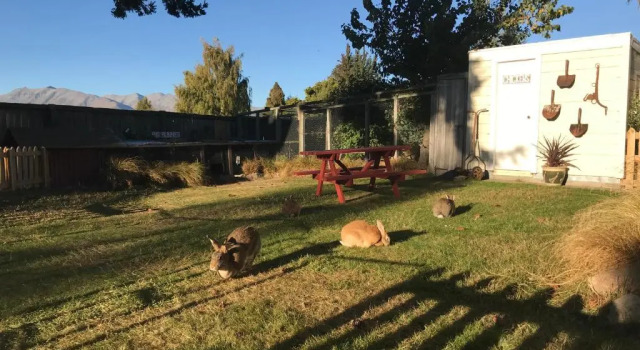 Четырёхместный номер Standard Tailor Made Tekapo Accommodation - Hostel