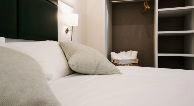 Люкс Classic LaMì Room & Apartment