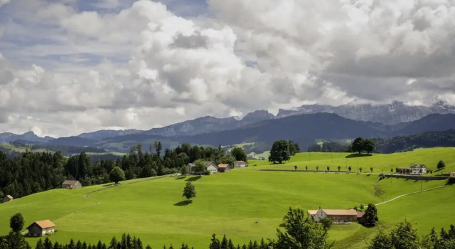 Номер Deluxe Vegan Health Hotel Sonnenberg
