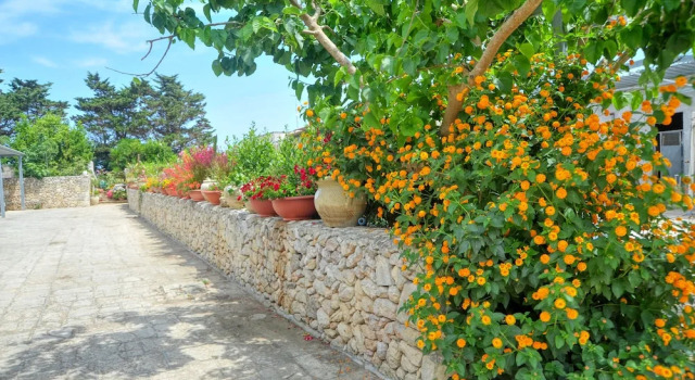 Апартаменты с 2 комнатами с видом на сад Residence Villa Grotta Monaca