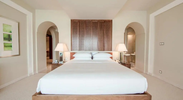 Люкс Presidential Park Hyatt Dubai