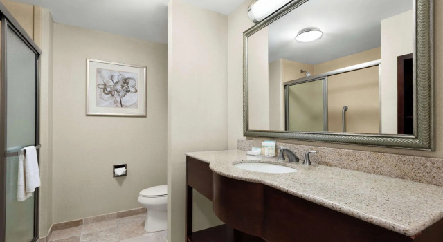Четырёхместный люкс Hampton Inn & Suites Brunswick