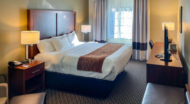 Двухместный номер Standard Comfort Inn & Suites Midtown