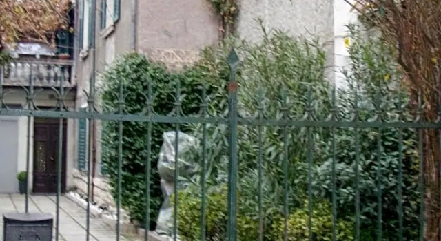 Girasole Grazioli 47