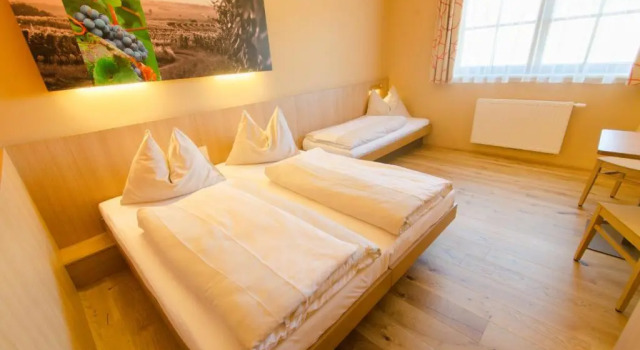 Трёхместный номер Standard JUFA Hotel Neutal