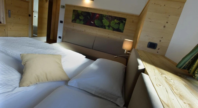Двухместный номер Standard с балконом и с красивым видом из окна Agritur Darial