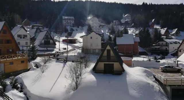 Апартаменты Vila Irina Kopaonik