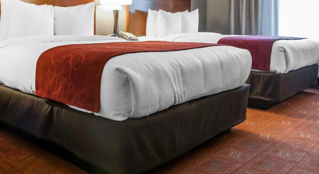 Двухместный люкс Comfort Suites Farmington