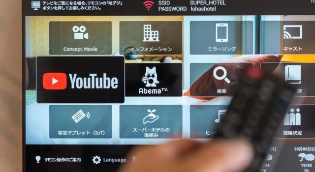 Номер Economy Super Hotel Premier Akihabara