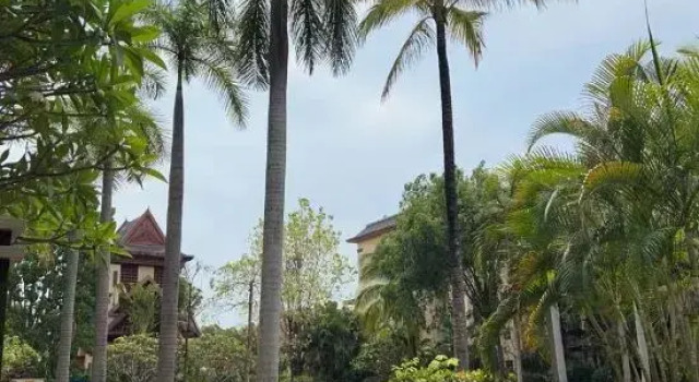Jinghong Shangpin Hotel