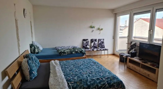 All the Apartment in Basel up to 7 People