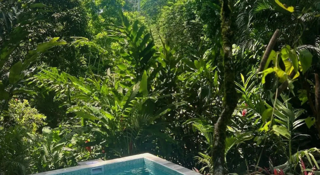 Бунгало Superior Geckoes Lodge
