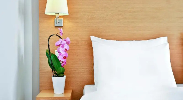 Одноместный номер Standard Botanique Hotel Prague