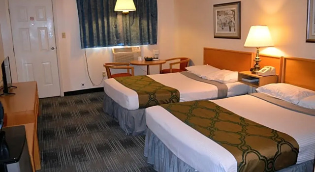 Номер Standard Agassiz Park Lodge