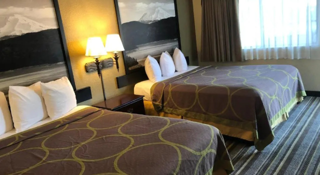 Standard Vierer Zimmer Super 8 by Wyndham Corning