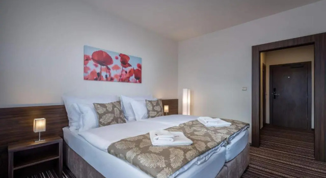 Двухместный номер Economy Hotel SATEL
