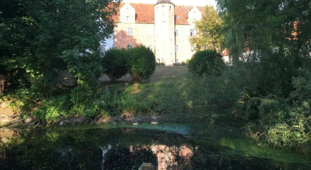 Camera Standard Harridslevgaard Slots Apartments