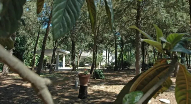 La pineta di Jovia, Buchen Sie Hotel Gioia del Colle Metropolitanstadt Bari